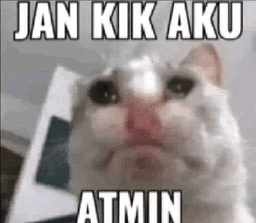 jan kik aku atmin