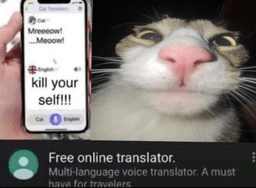translate