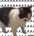 aaaaaaaaaaaaaaaaaaaaaaaa