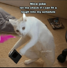 nice joke