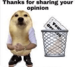your opinion