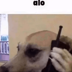 Alo