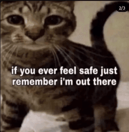 Cat_Safe