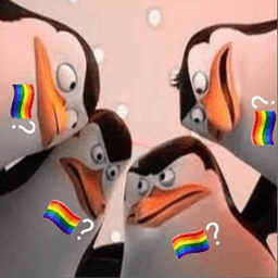 gay