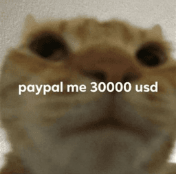 paypal me 30000 usd