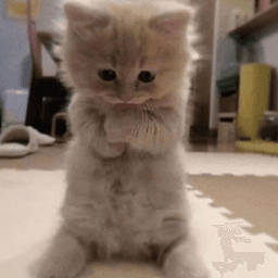 No me quieren