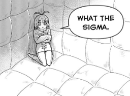 What the sigma