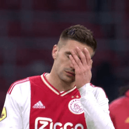 tadic