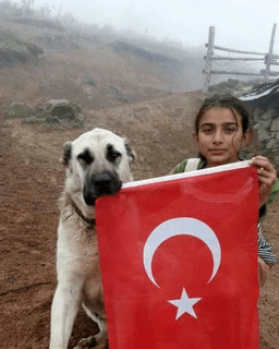 ben TÜRK milliyetcisiyim arkds