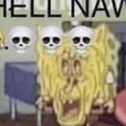 spunchbib