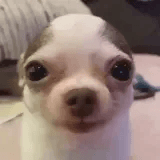 Stare .gg/mommy