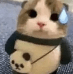 Sweaty Cat .gg/mommy