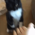 High Five .gg/mommy