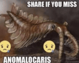 Share if you miss anomalocaris