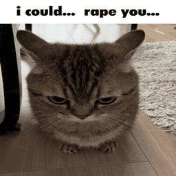 I could…