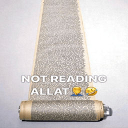 Not reading allat wtf 😂 