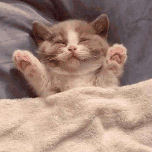 sleepy