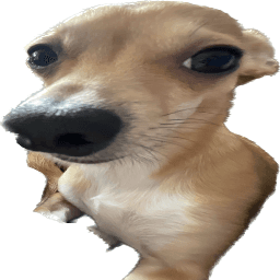 nigga