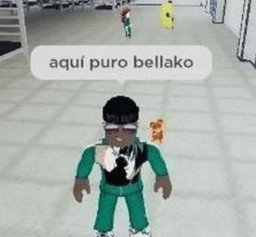 aqui puro bellako