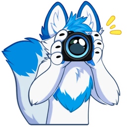 4k_caught_LP