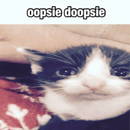 oops