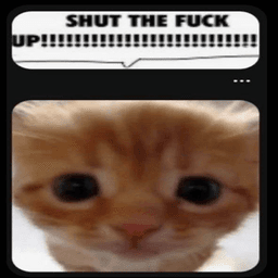 stfu