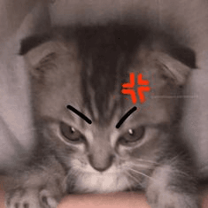 grrrrr