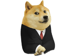 dogesuit