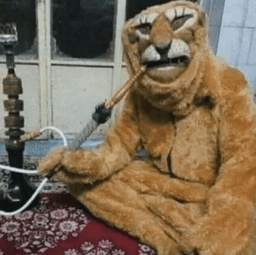 Shisha