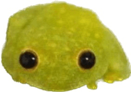 Gort