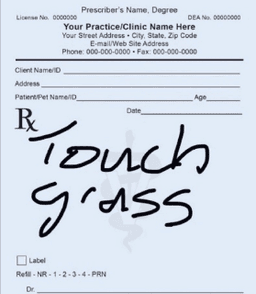 Touch Grass RX