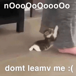 domt leamv me :(