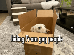 hiding from gays