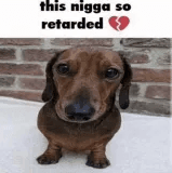 this nigga so retarded