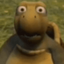 turtle