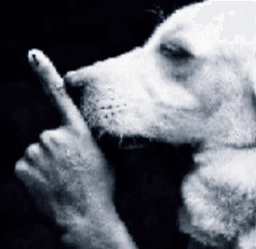 hush