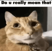 Do you really mean that