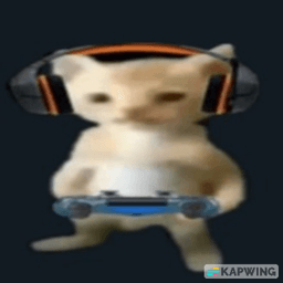 CatStancedUp