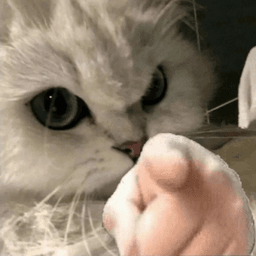 You