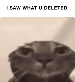 I saw what you deleted