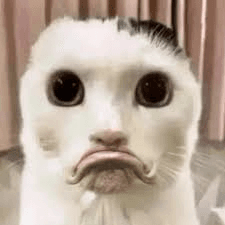 frowns