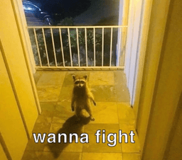 wanna fight?