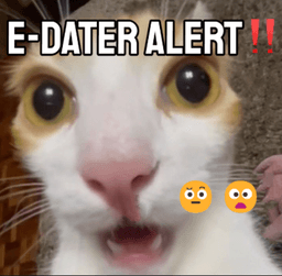 E-dater alert