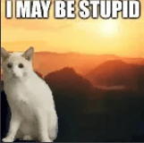 I may be stupid
