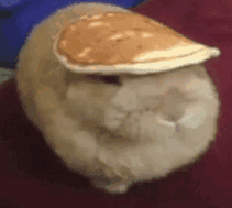 pancake