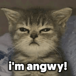 angwy cat
