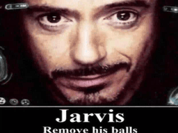 Jarvis