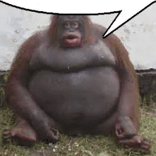 yike 2