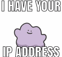 IP Address Ditto