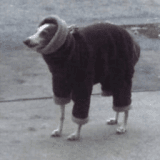 skrungo